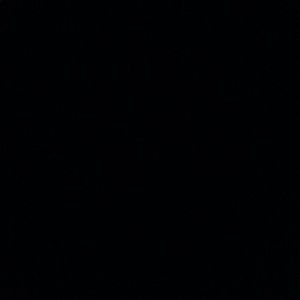 Meet your Posher, Burt